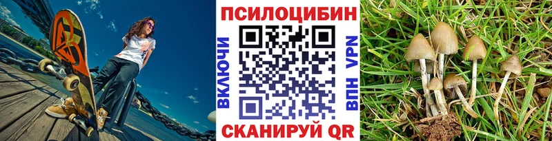 Галлюциногенные грибы Psilocybe  Кашин 